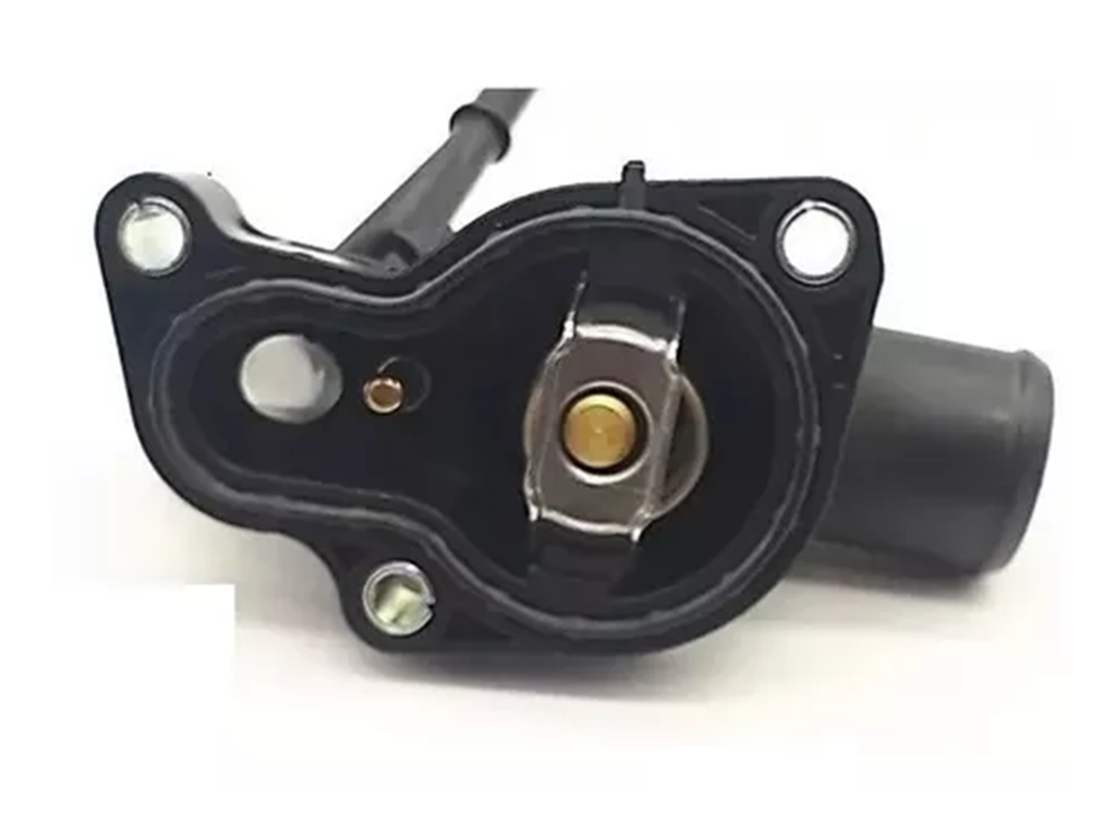 TOMA AGUA DG RAM 700 C/TERMOSTATO C/BULBO