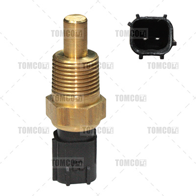 SENSOR TEMPERATURA DG RAM 00-
