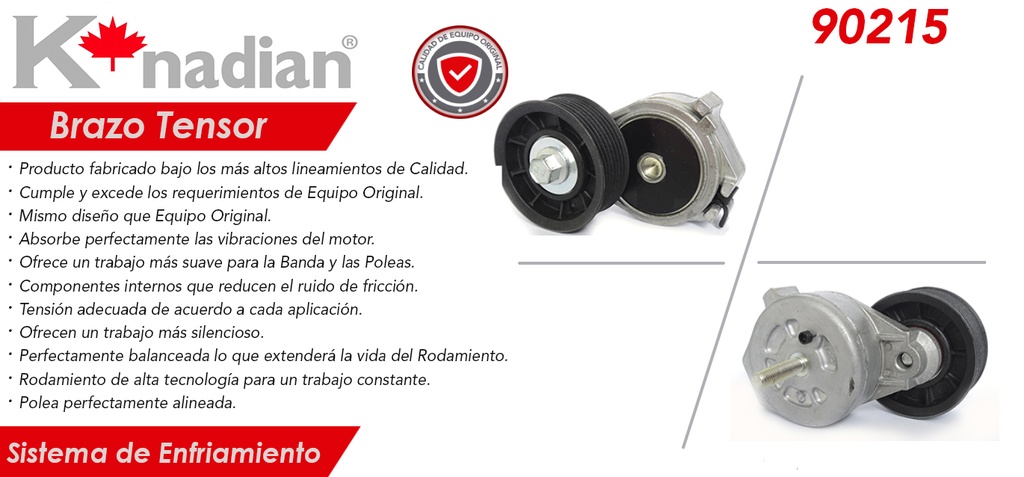 POLEA TENSORA ALTERNADOR DG RAM