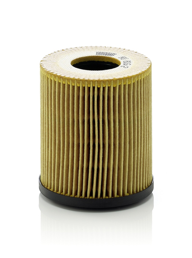 FILTRO ACEITE DG RAM 700 15-