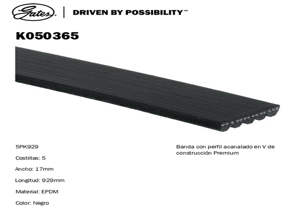 BANDA MICRO V VW BORA 2005-2006 GATES
