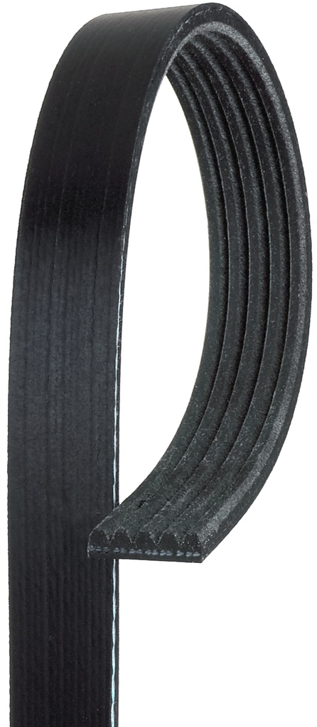 BANDA SERPENTIN SIN AIRE ACONDICIONADO NISSAN PLATINA 2003-2