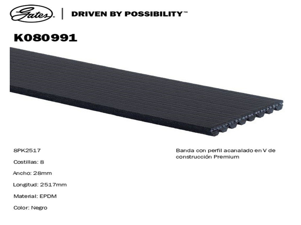 BANDA ALTERNADOR FD F-150 C/CLIMA C/DH