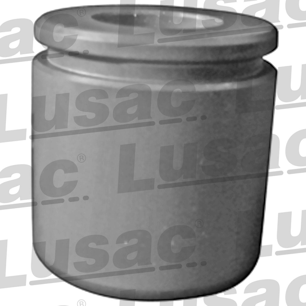 PISTON MORDAZA FD F-150