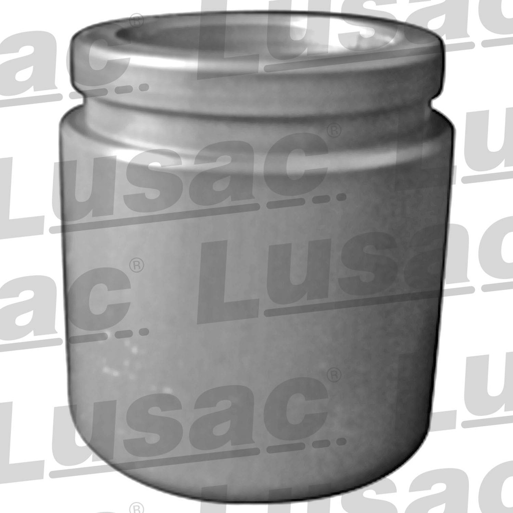 PISTON MORDAZA FD F-150