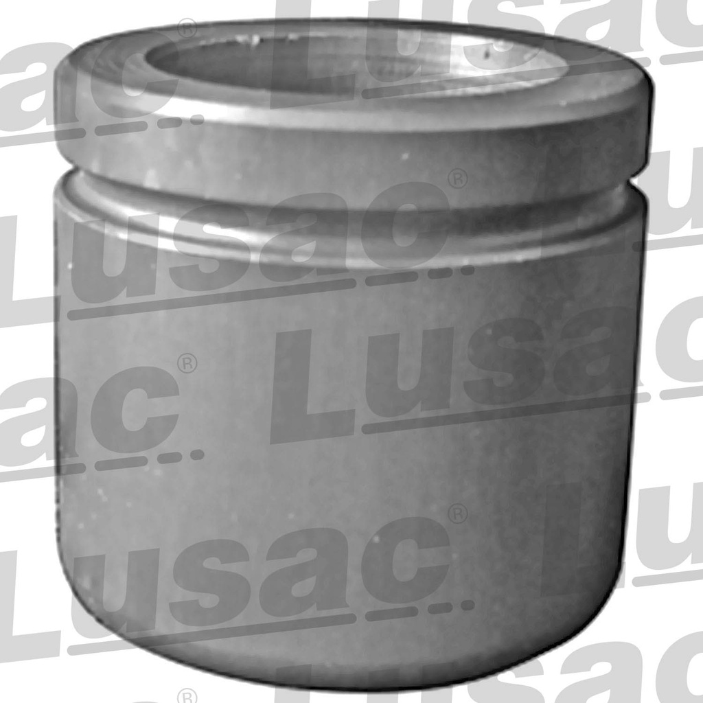 PISTON MORDAZA FD F-150