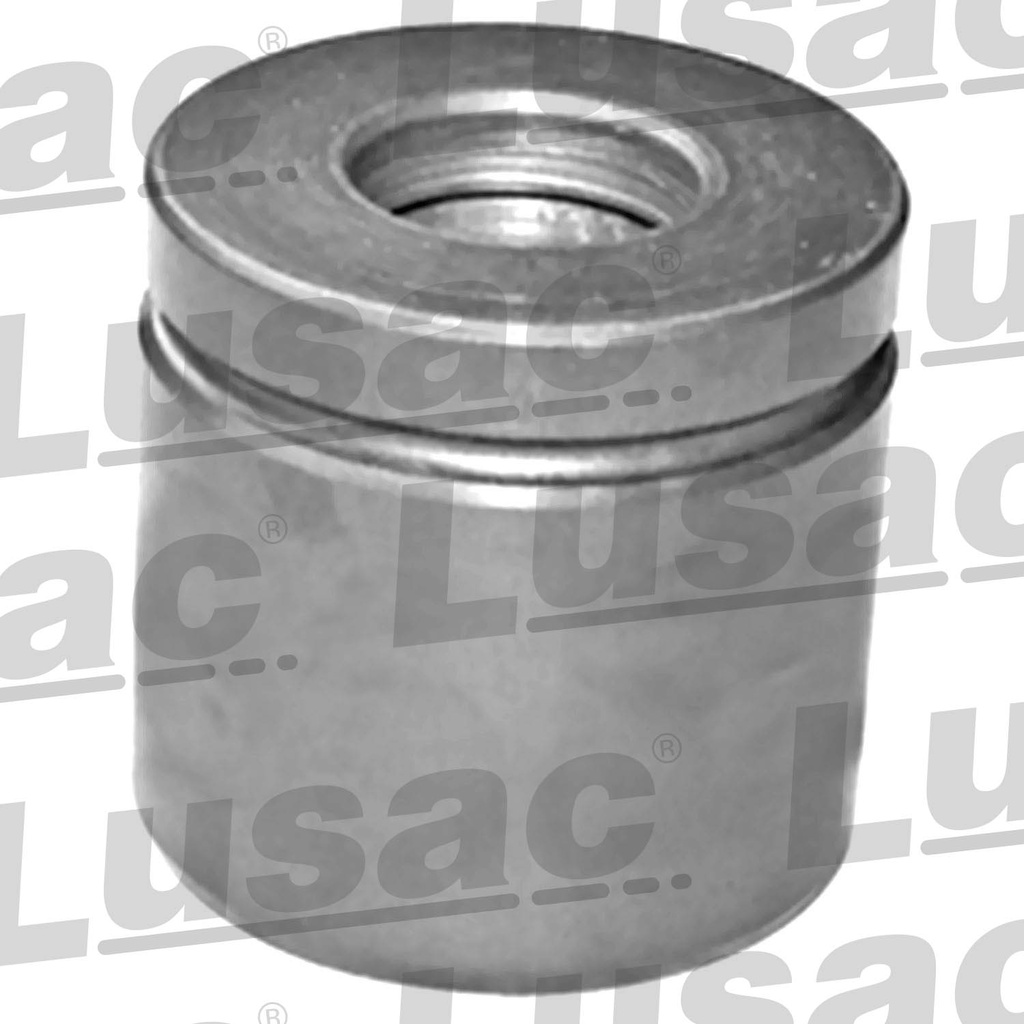 PISTON MORDAZA FD F-150