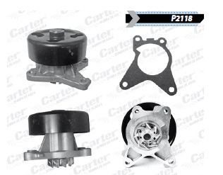 BOMBA AGUA NS TIIDA SENTRA VERSA 2.0 P-1010 A-11216 41195