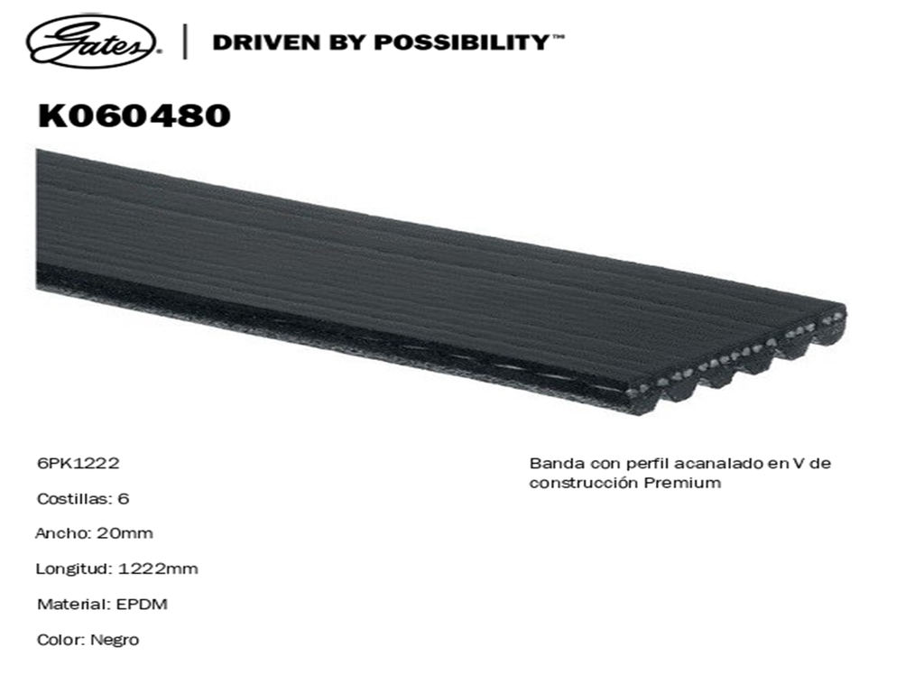 BANDA ALTERNADOR NS SENTRA 13-