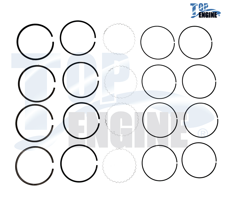 ANILLOS NS D21 12V 1991-1998   PR-NS01-020-TW