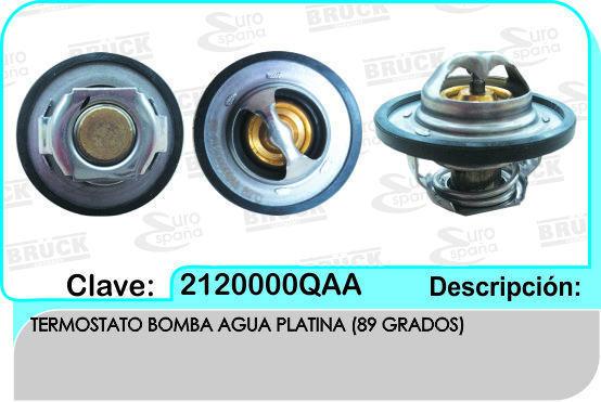 TERMOSTATO NS PLATINA