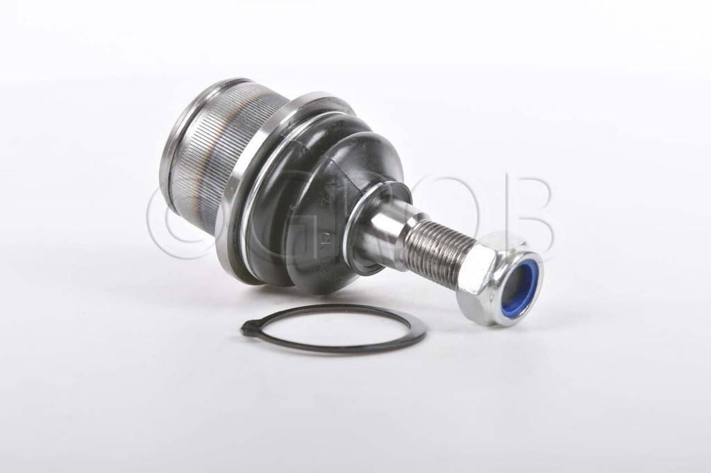 ROTULA CV