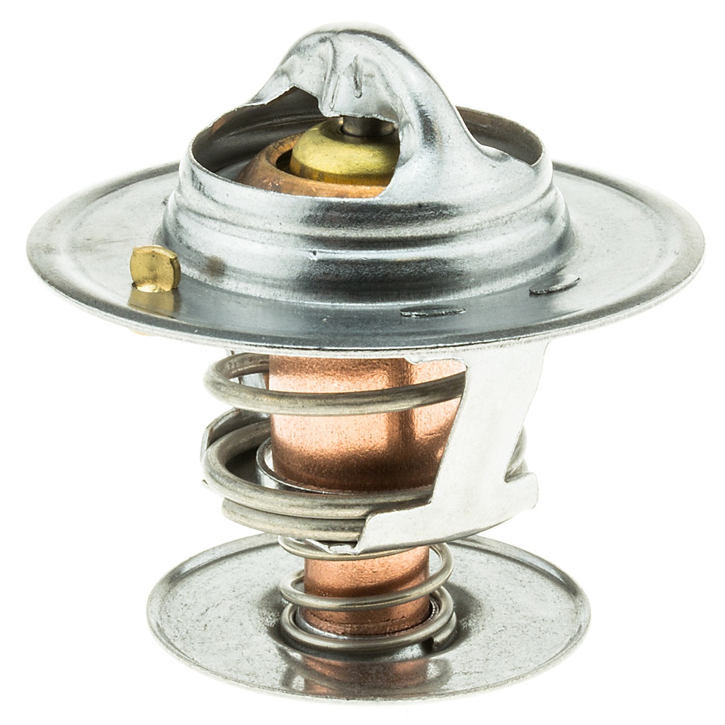 TERMOSTATO FD FOCUS