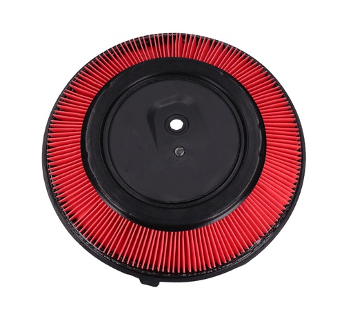 [16546-77A10-TW] FILTRO AIRE NS TSURU II 92 CARBURADOR   GA-6620