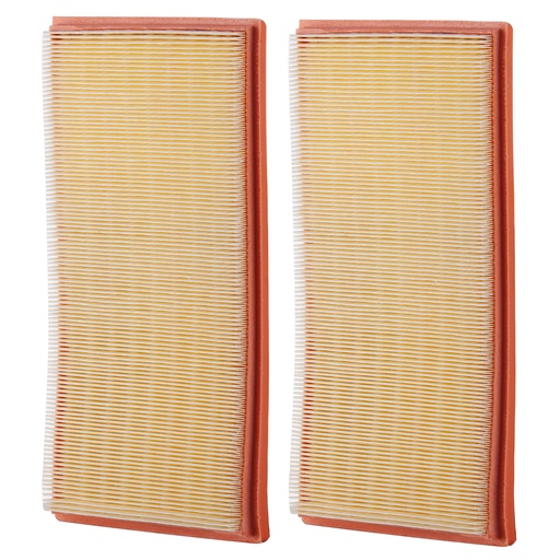 [F-44ACP] FILTRO AIRE PG